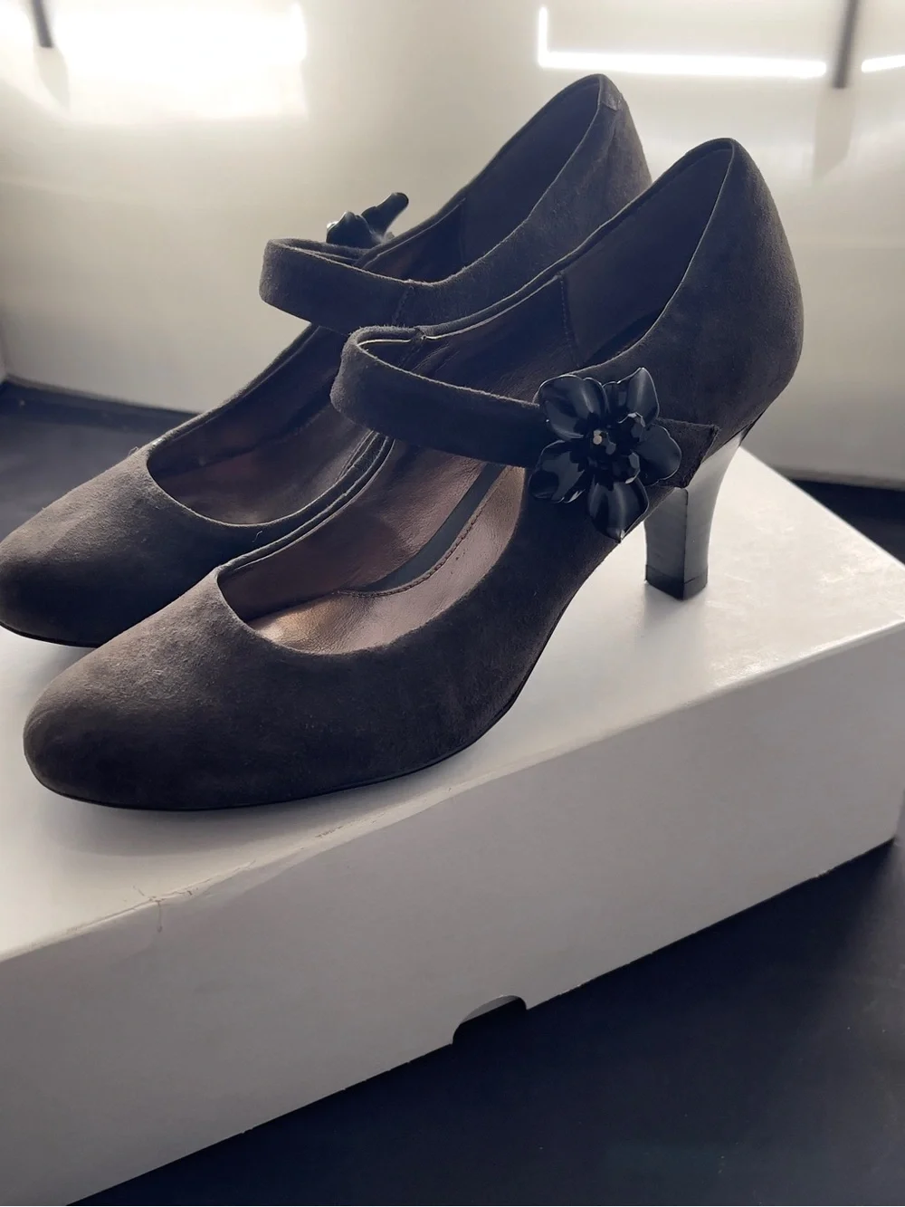 Sofft taupe suede